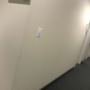 Meet your Posher, Lexi